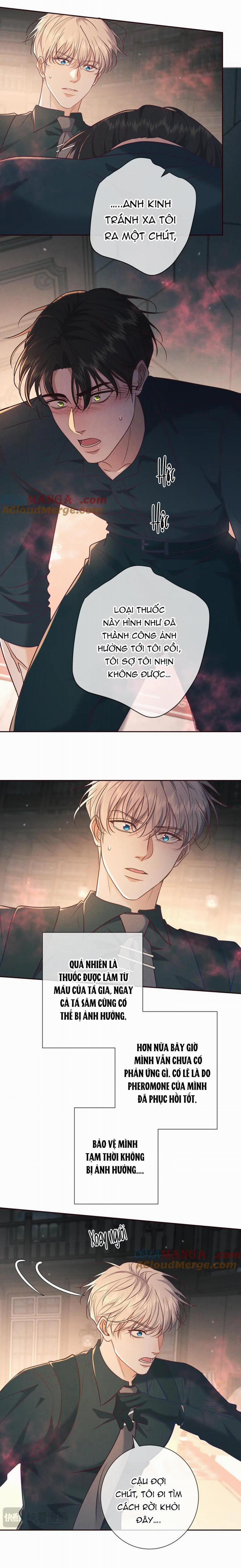 Cạn Tình 29 trang 8