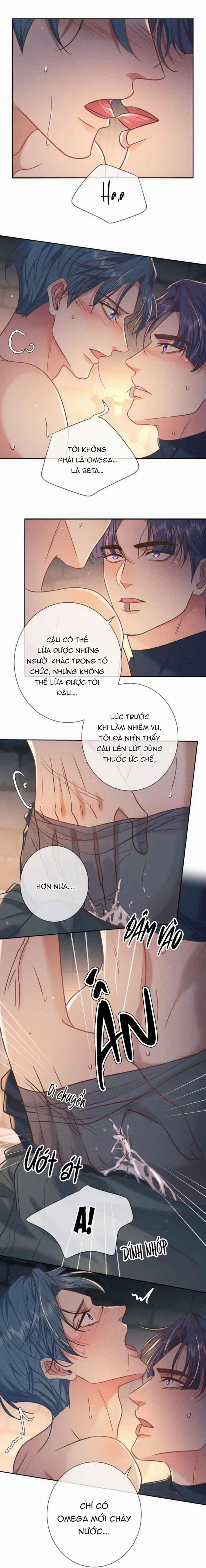 Cạn Tình 30 trang 13