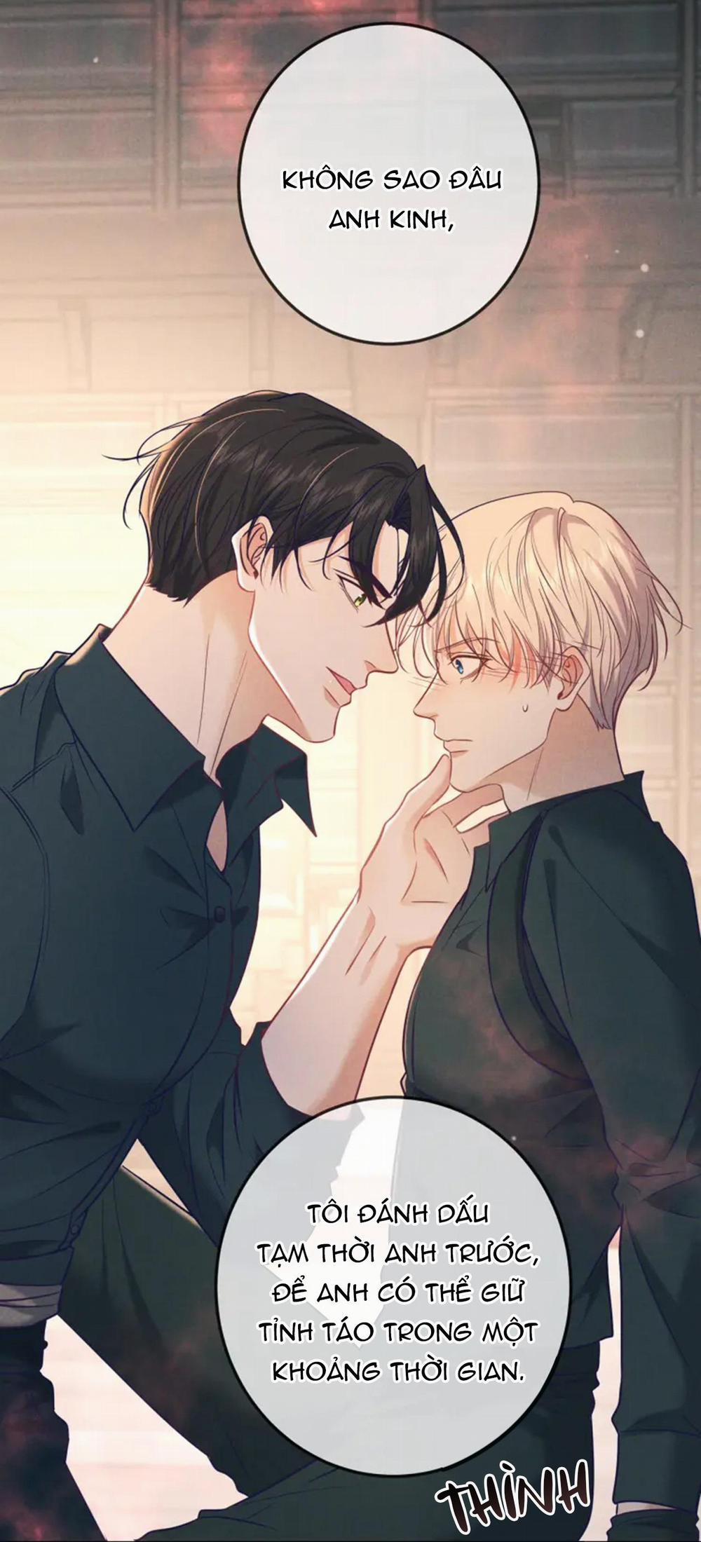 Cạn Tình 31 trang 11