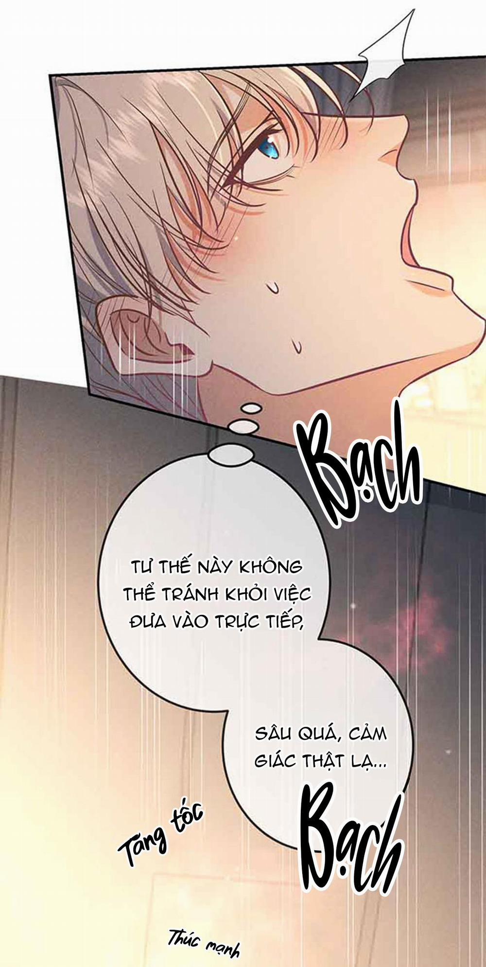 Cạn Tình 33 trang 33