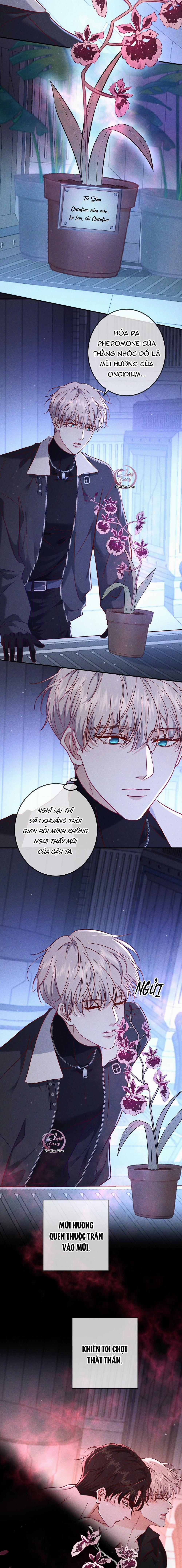 Cạn Tình 54 trang 3