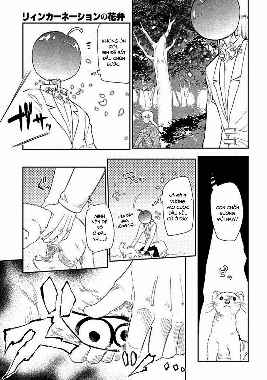 Cánh Hoa Về Luân Hồi 17 trang 9