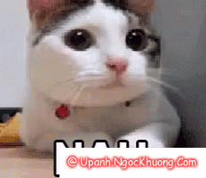 Cao Bồi Lucky Luke Oneshot trang 10