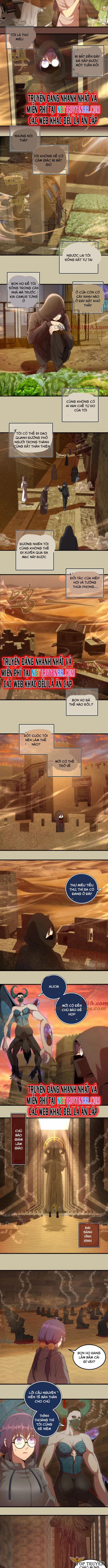 Cao Đẳng Linh Hồn 232 trang 2