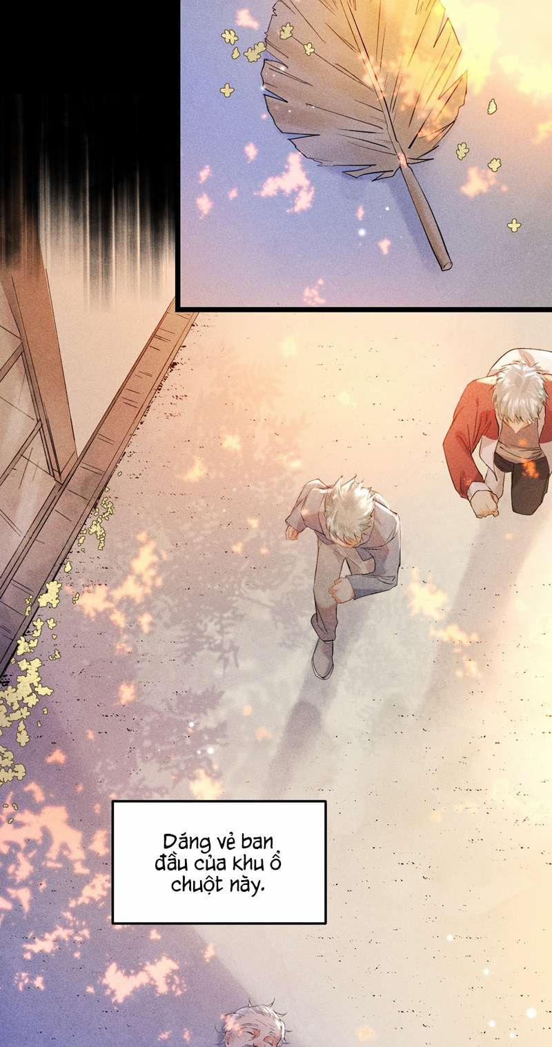 Cao Tháp 14 trang 19