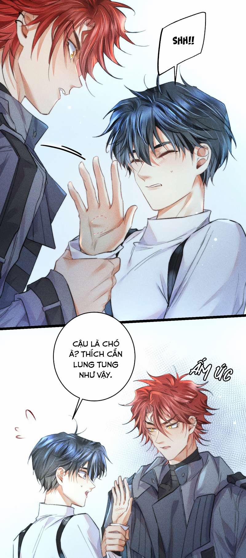 Cao Tháp 20 trang 8