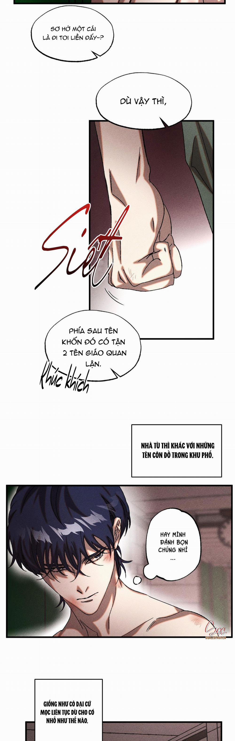 Cash Or Credit 11 trang 17