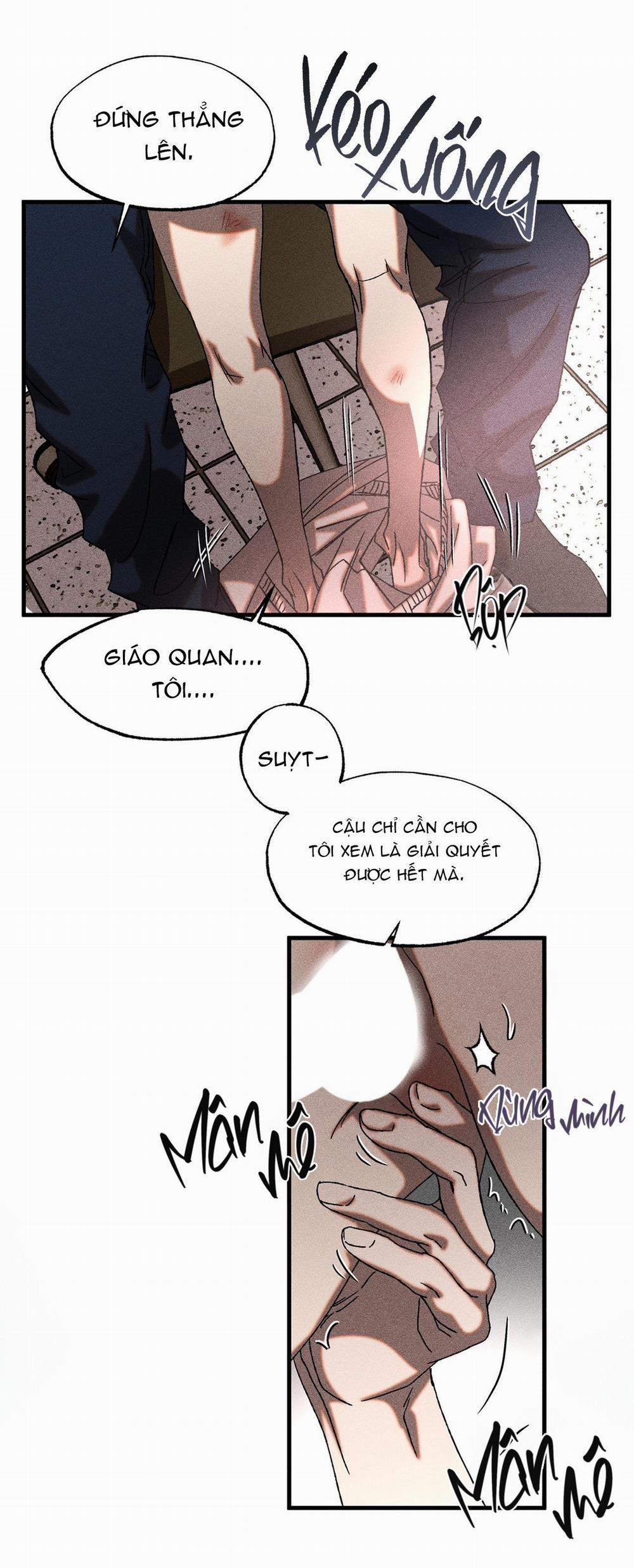 Cash Or Credit 13 trang 6