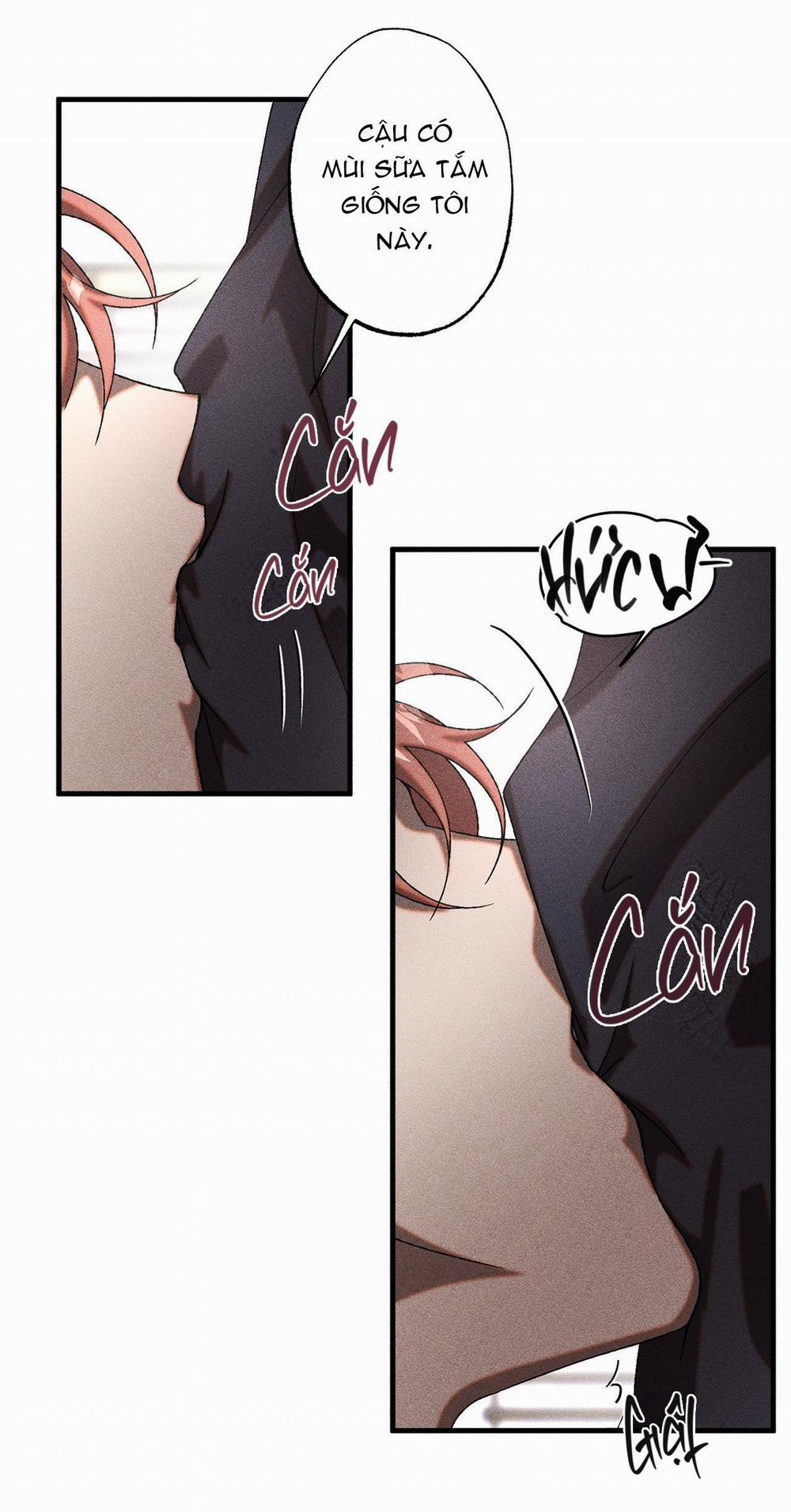 Cash Or Credit 13 trang 8