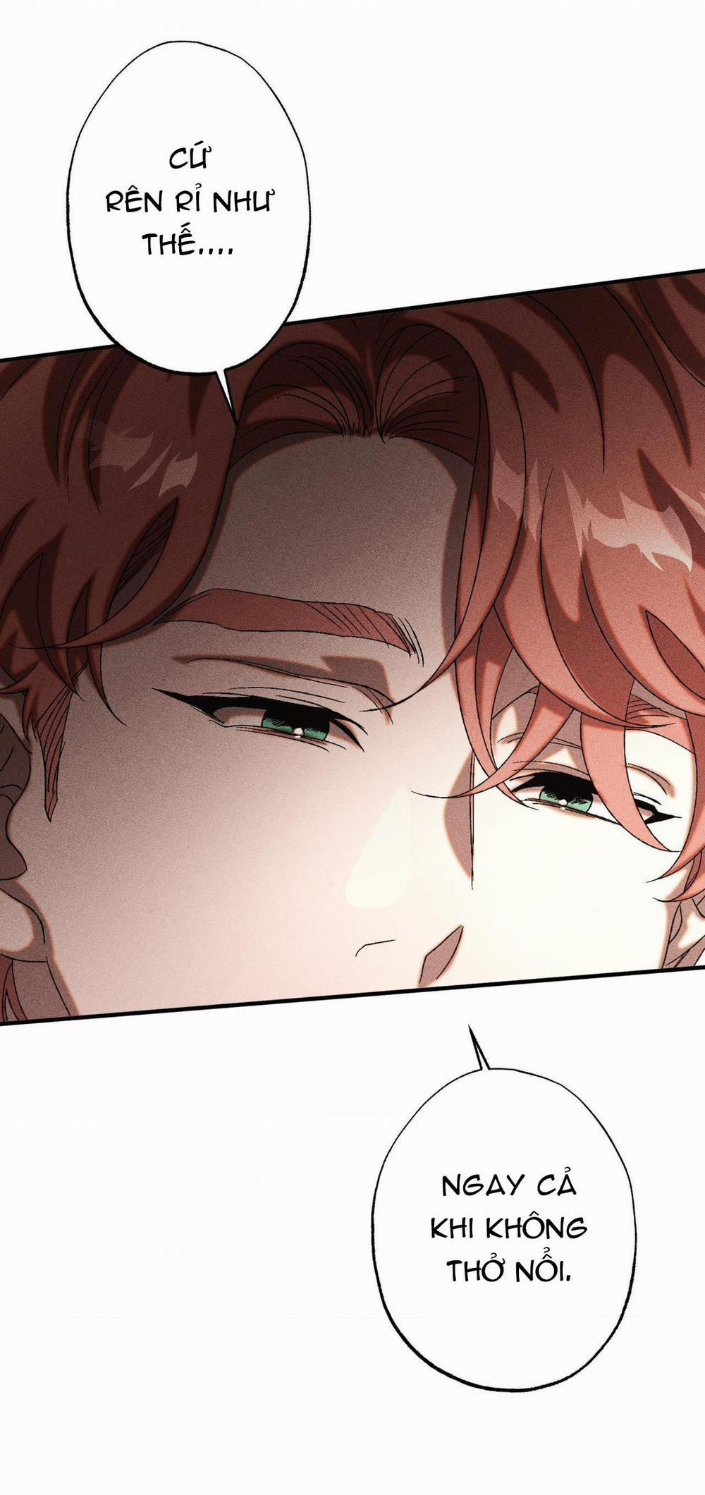 Cash Or Credit 18 trang 14