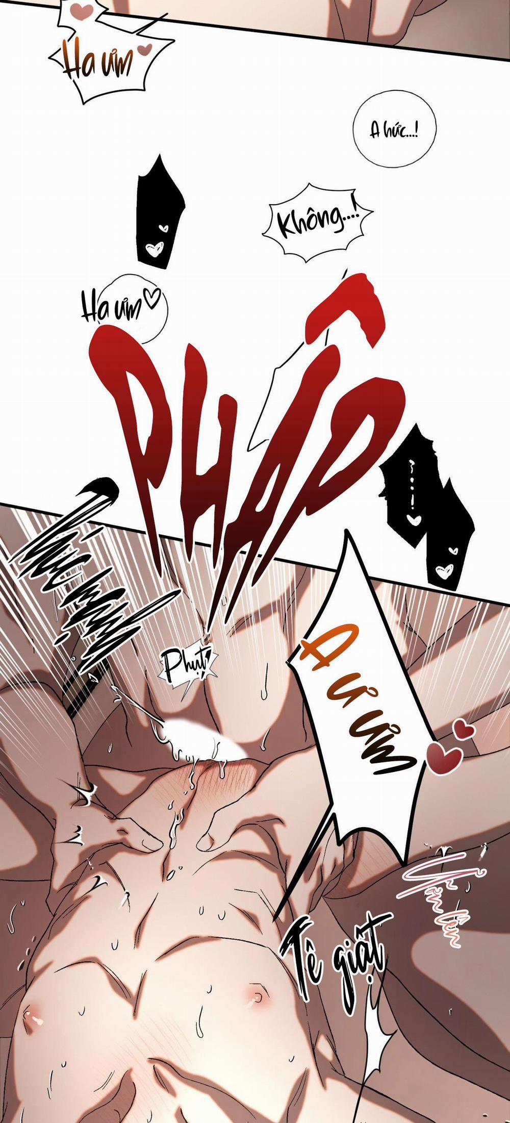 Cash Or Credit 19 trang 17