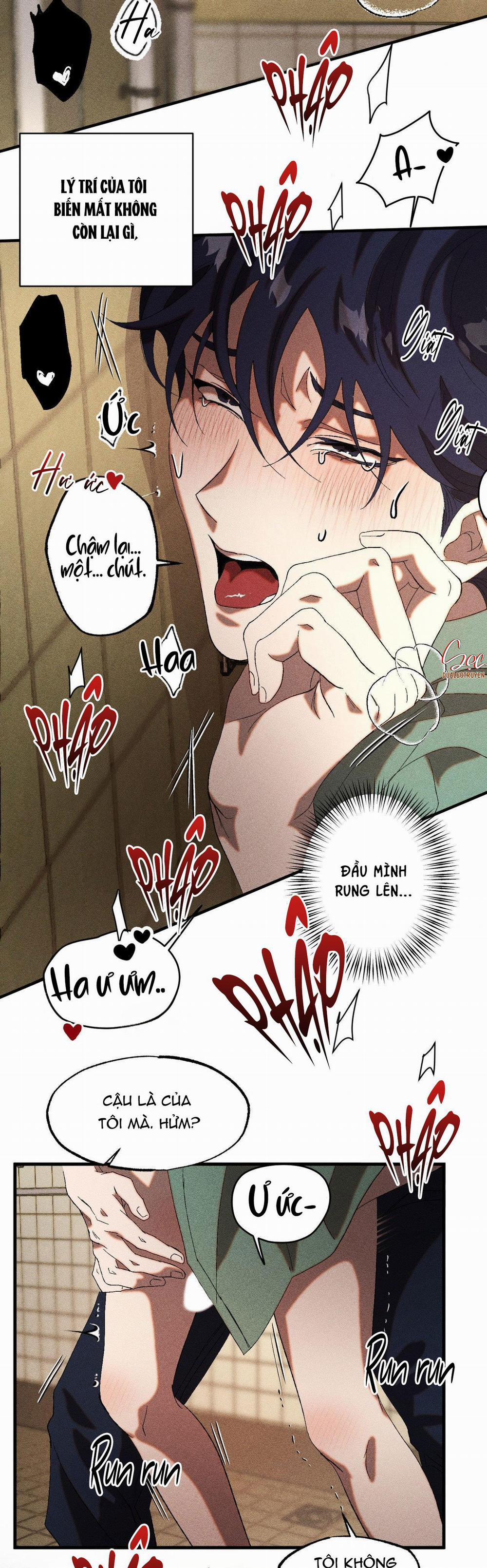 Cash Or Credit 22 trang 33