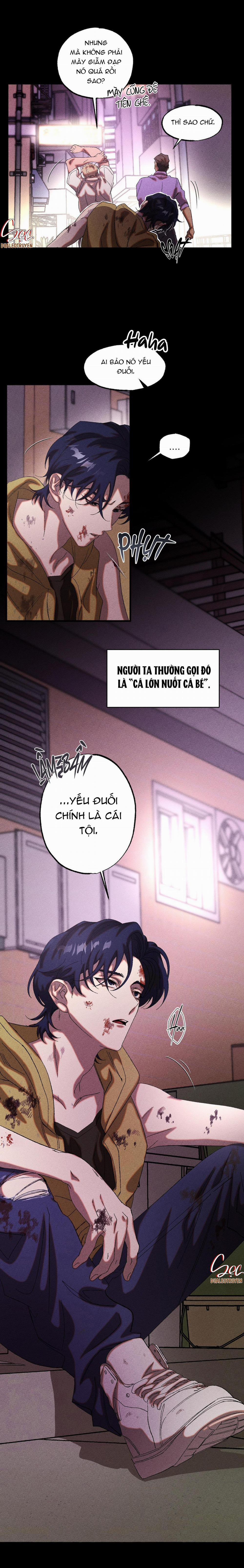 Cash Or Credit 22 trang 5