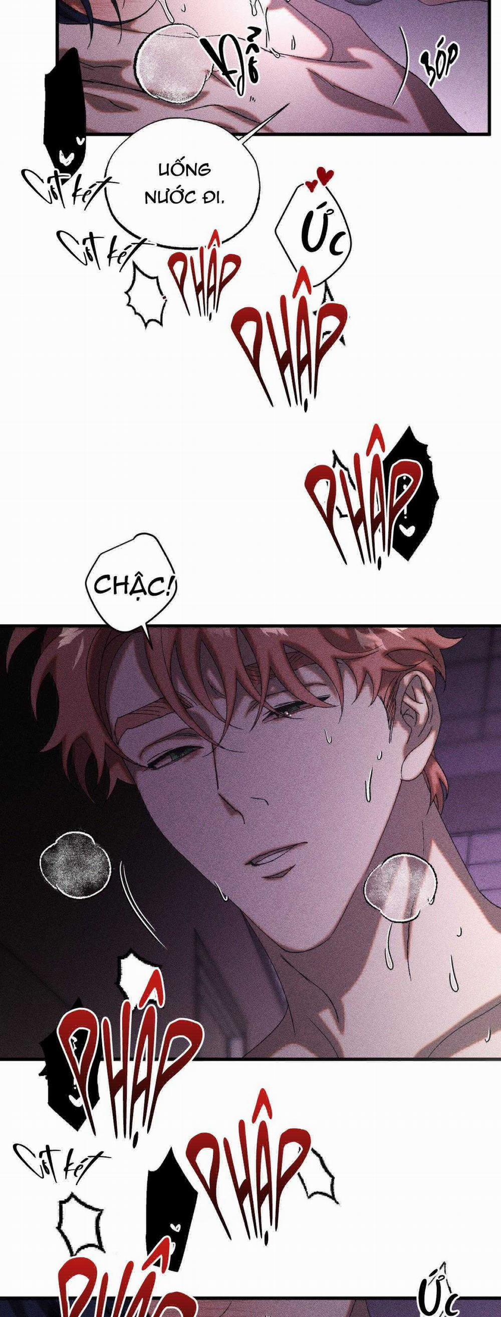 Cash Or Credit 31 trang 6