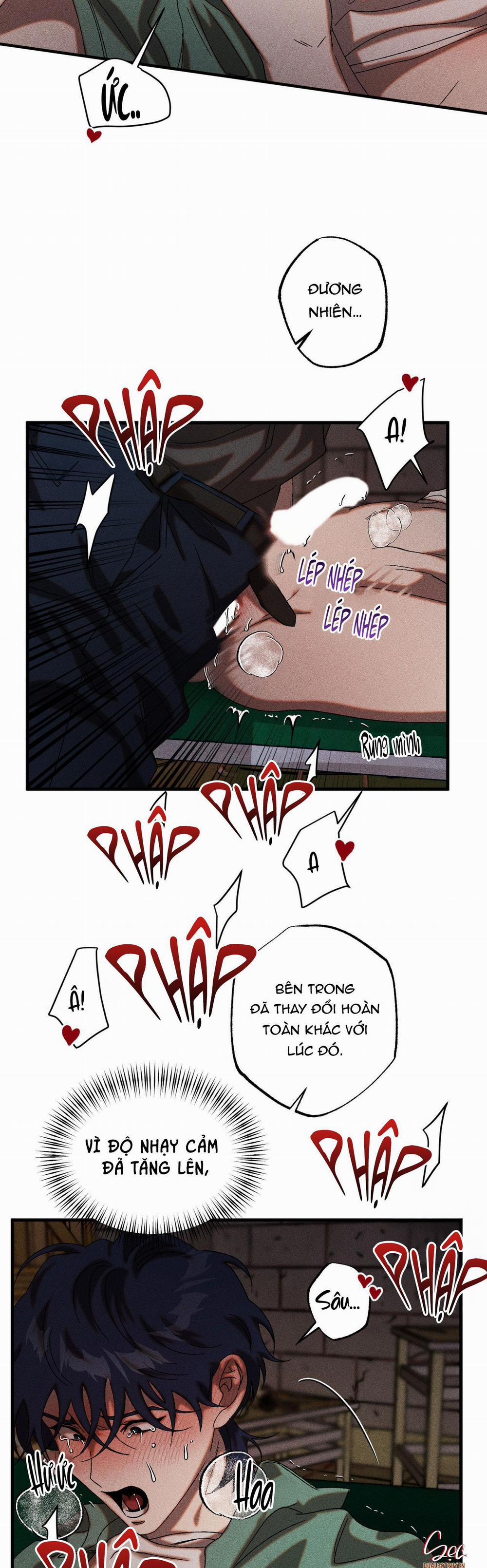 Cash Or Credit 38 trang 21