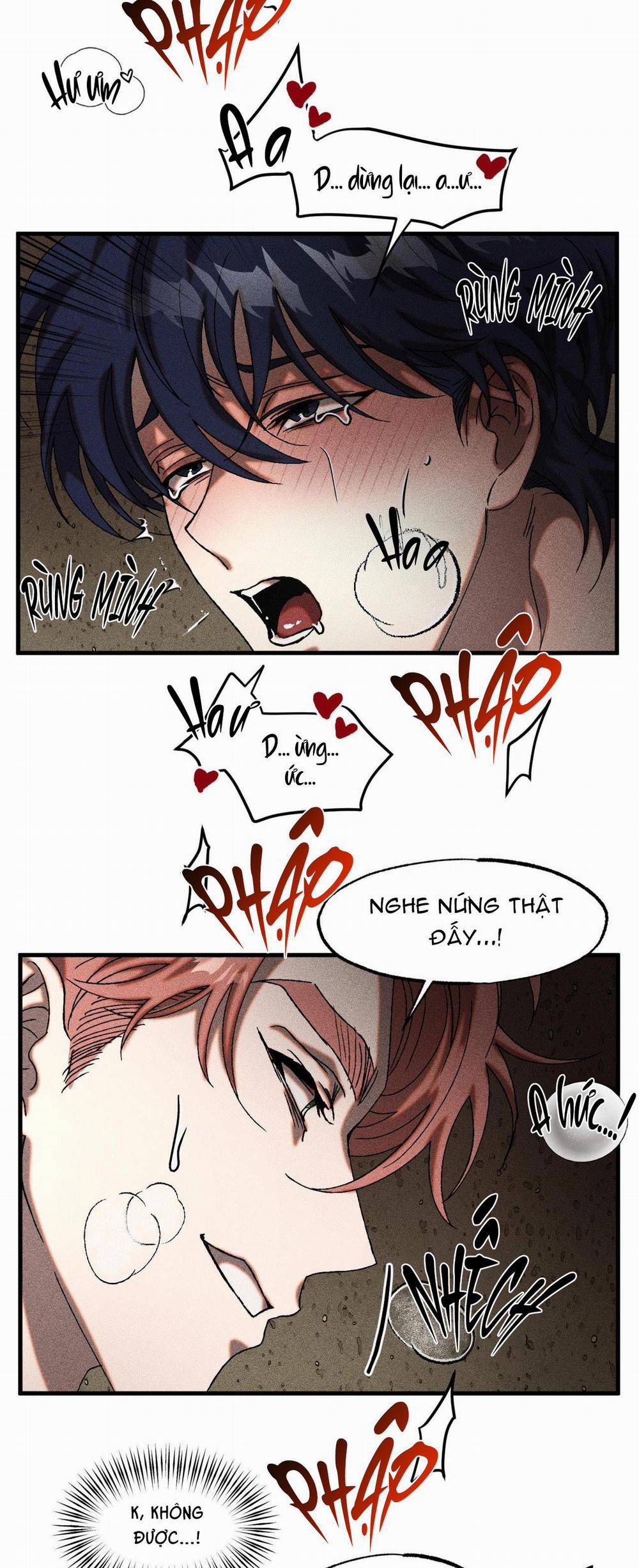 Cash Or Credit 8 trang 13