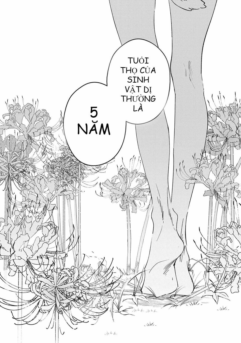 Castehate 13 trang 18