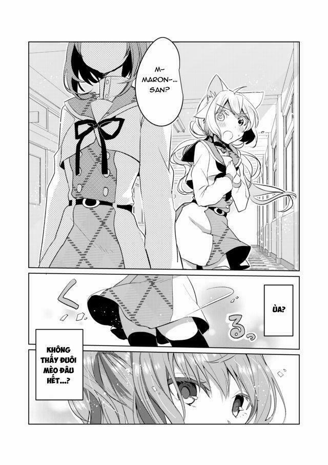 Catulus Syndrome 14 trang 8