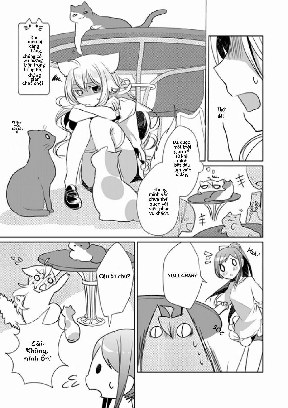 Catulus Syndrome 19 trang 2