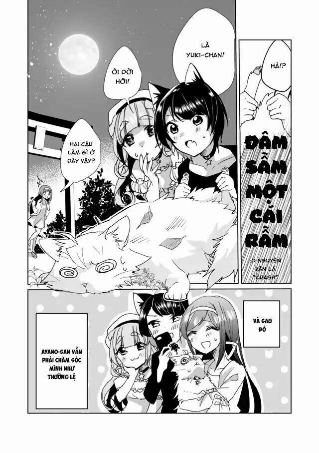 Catulus Syndrome 28 trang 12