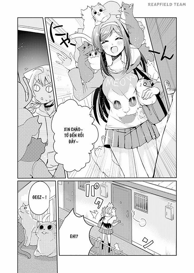 Catulus Syndrome 3 trang 5