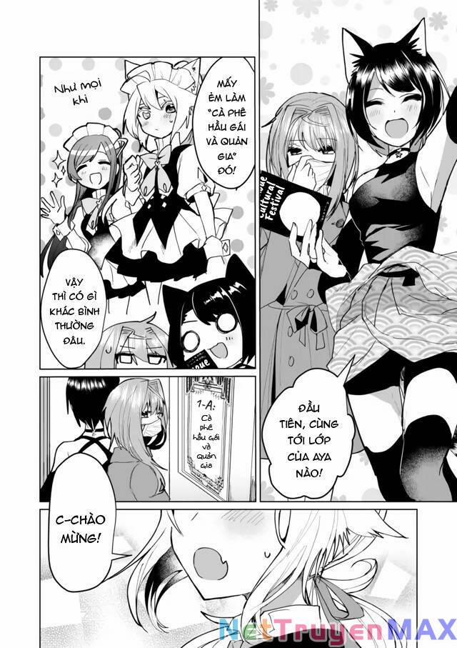 Catulus Syndrome 63 trang 3