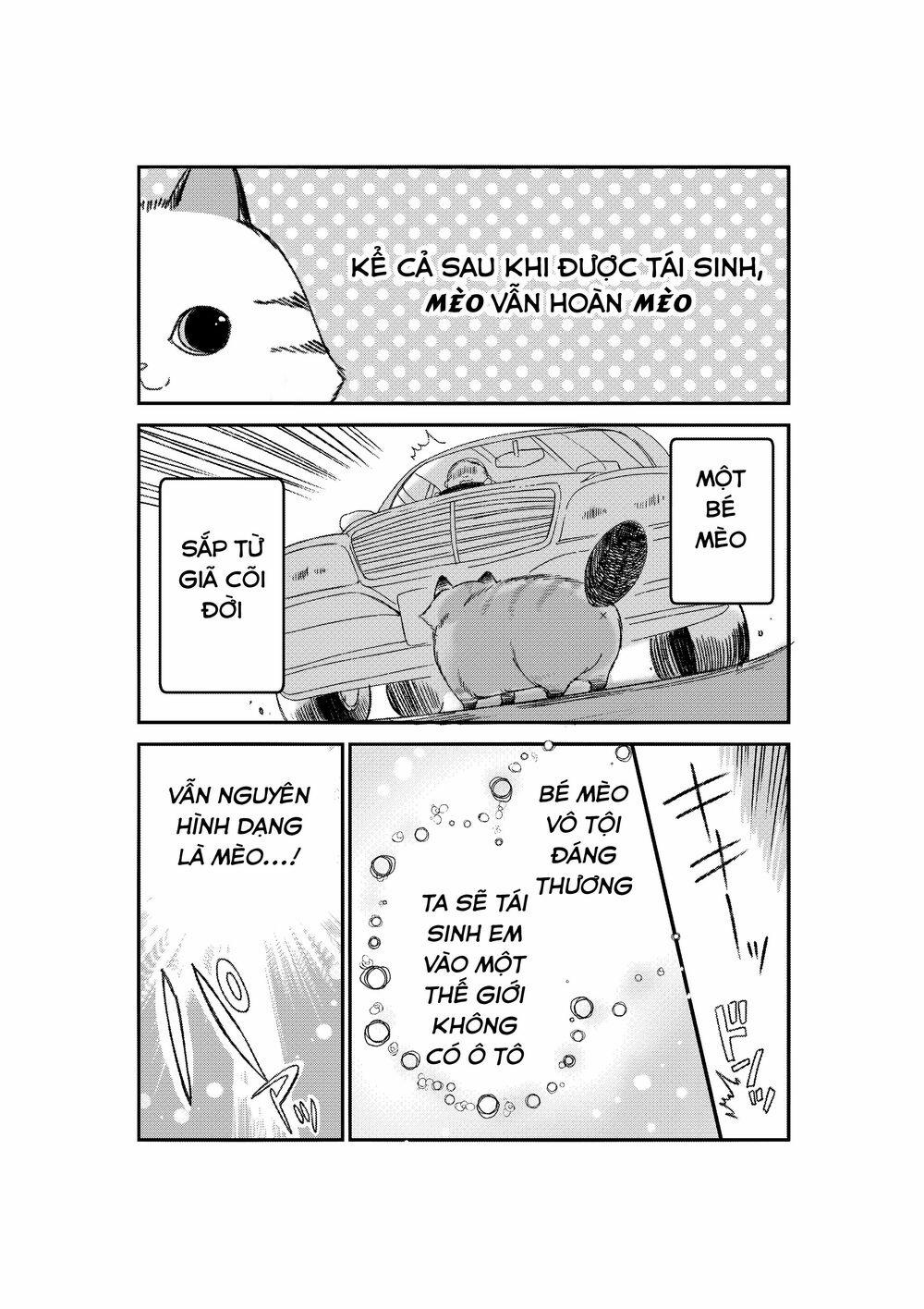 Câu Chuyện Về Một Bé Mèo Được Đầu Thai Ở Một Thế Giới Không Có Mèo 1 trang 2