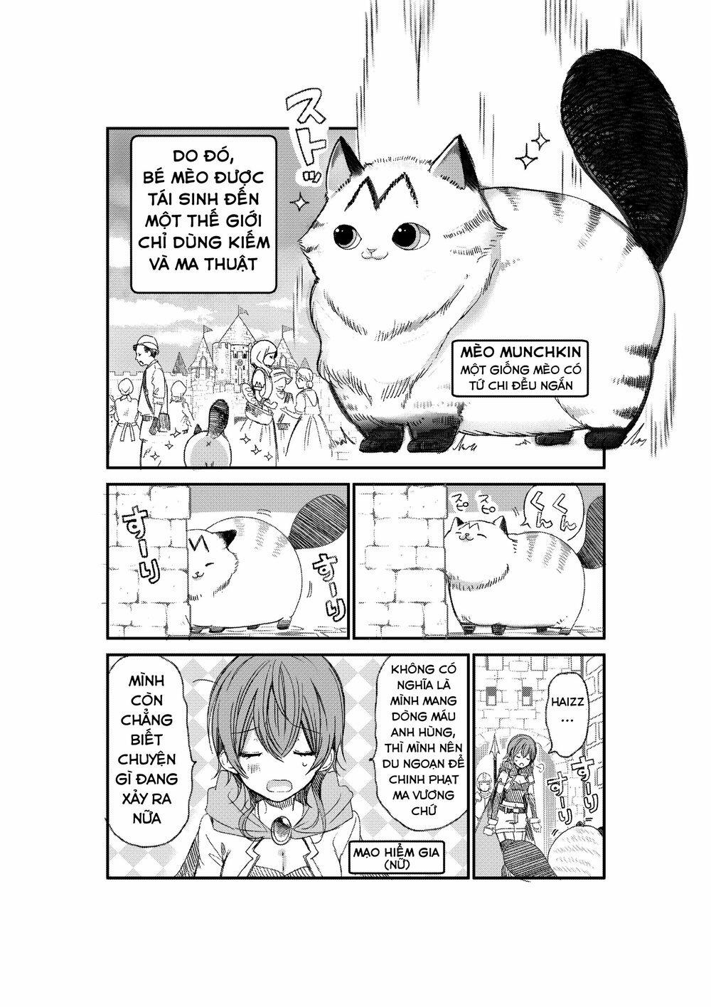 Câu Chuyện Về Một Bé Mèo Được Đầu Thai Ở Một Thế Giới Không Có Mèo 1 trang 3