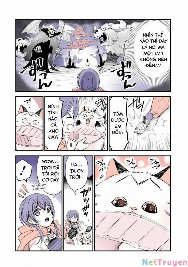Câu Chuyện Về Một Bé Mèo Được Đầu Thai Ở Một Thế Giới Không Có Mèo 12 trang 3