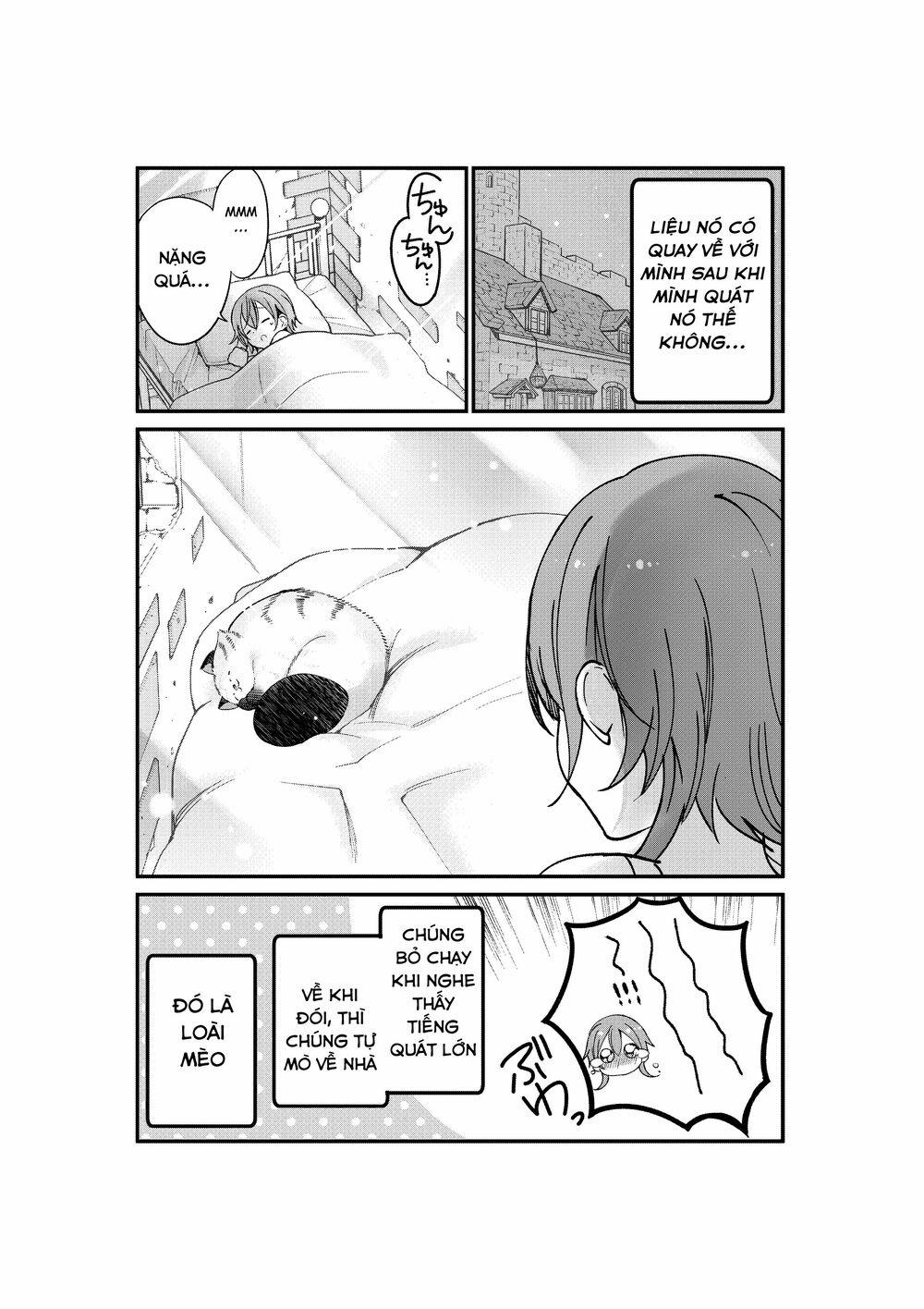 Câu Chuyện Về Một Bé Mèo Được Đầu Thai Ở Một Thế Giới Không Có Mèo 5 trang 5