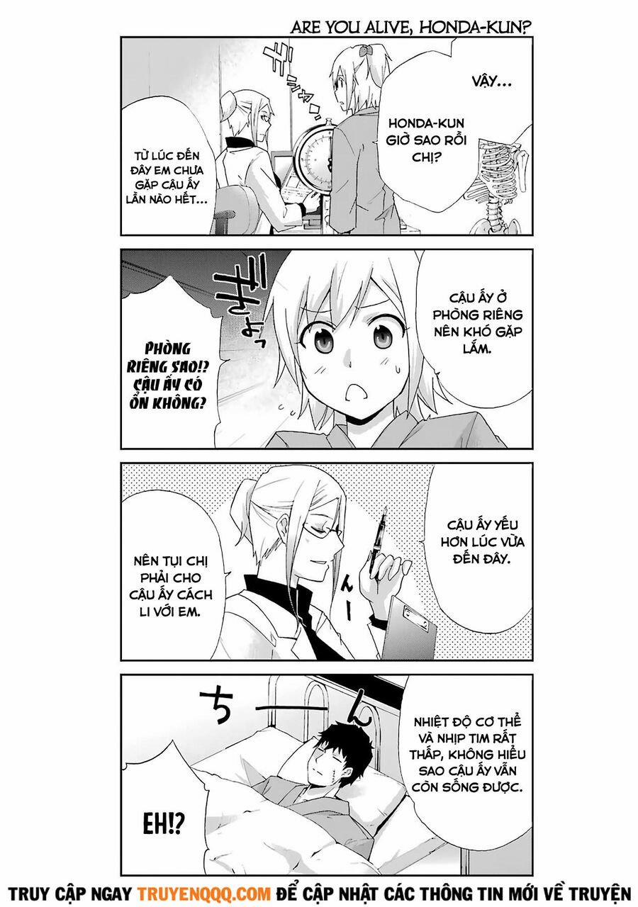 Cậu Còn Sống Chứ? Honda-Kun 12 trang 8
