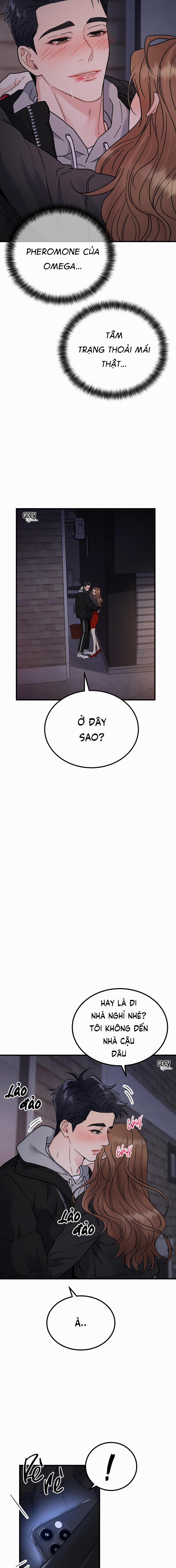 CẬU ĐÂU PHẢI LÀ GU CỦA TÔI? 2 trang 17