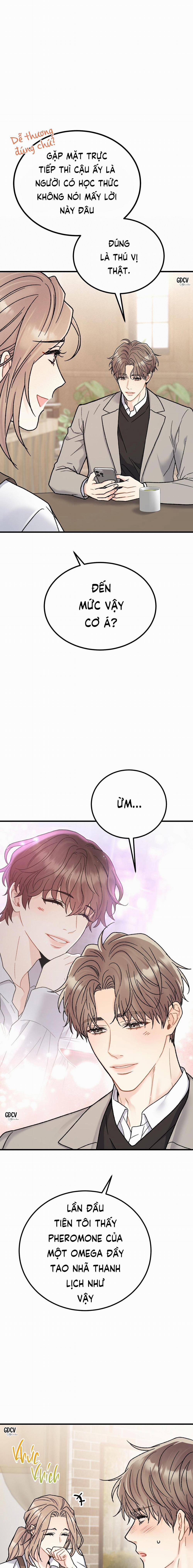 CẬU ĐÂU PHẢI LÀ GU CỦA TÔI? 2 trang 3