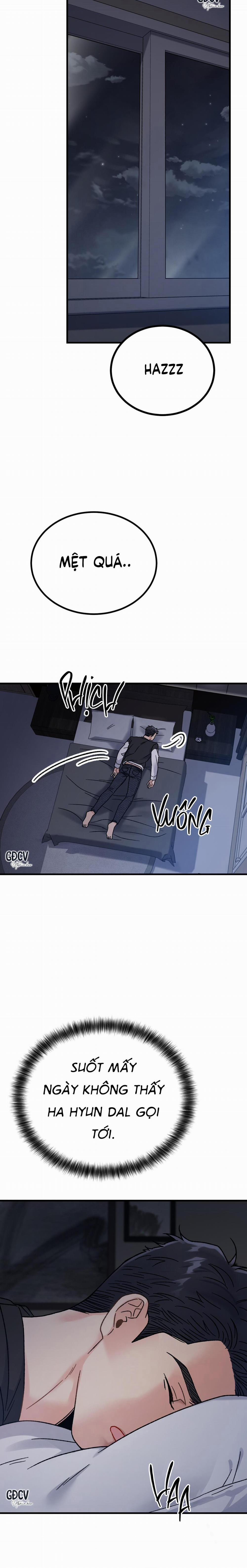 CẬU ĐÂU PHẢI LÀ GU CỦA TÔI? 3 0 trang 20