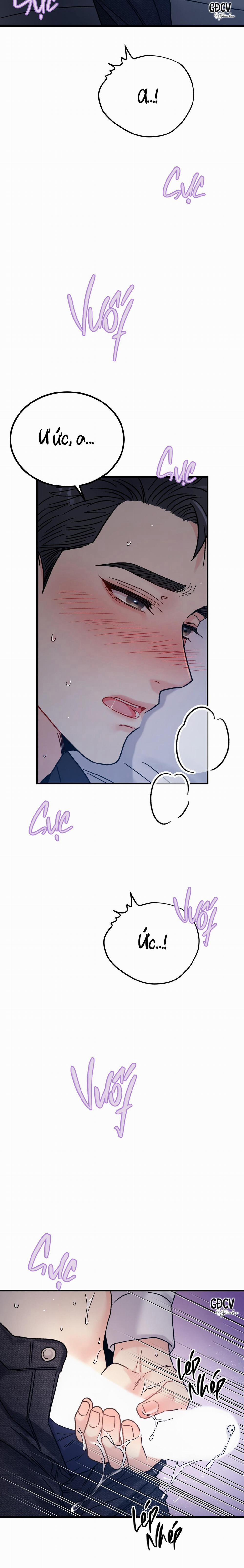 CẬU ĐÂU PHẢI LÀ GU CỦA TÔI? 3 0 trang 26