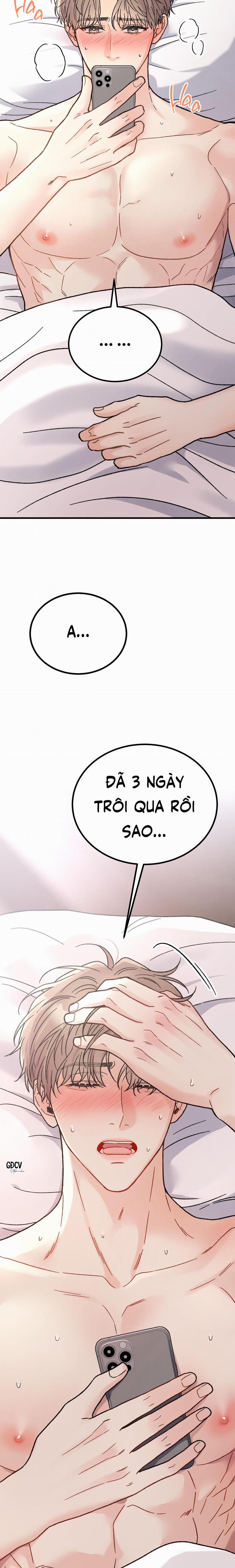 CẬU ĐÂU PHẢI LÀ GU CỦA TÔI? 4 trang 2