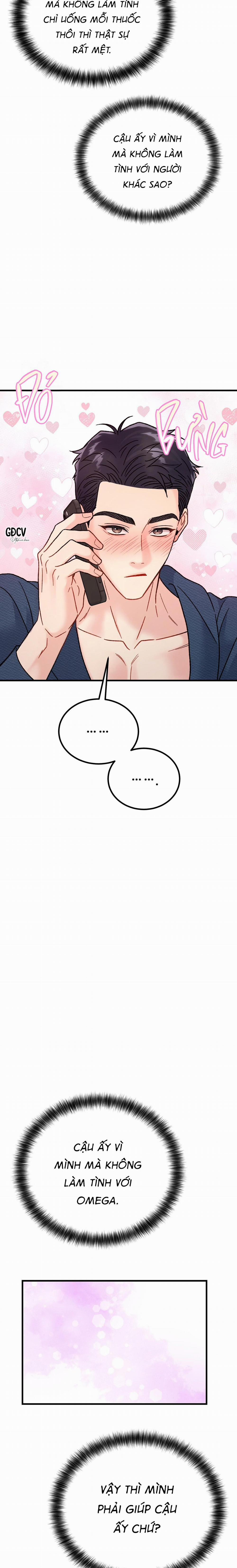 CẬU ĐÂU PHẢI LÀ GU CỦA TÔI? 4 trang 23