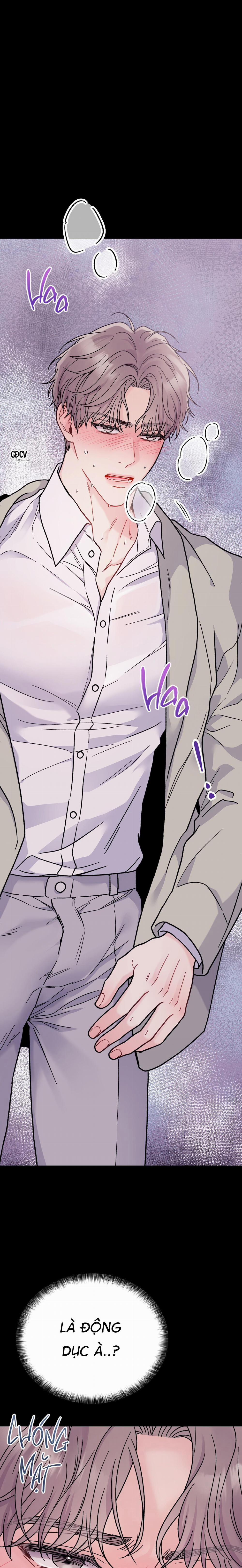 CẬU ĐÂU PHẢI LÀ GU CỦA TÔI? 4 trang 4