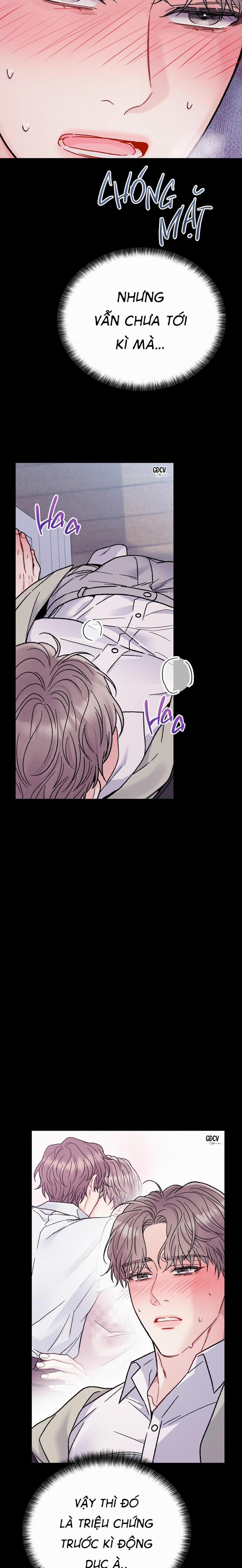 CẬU ĐÂU PHẢI LÀ GU CỦA TÔI? 4 trang 5