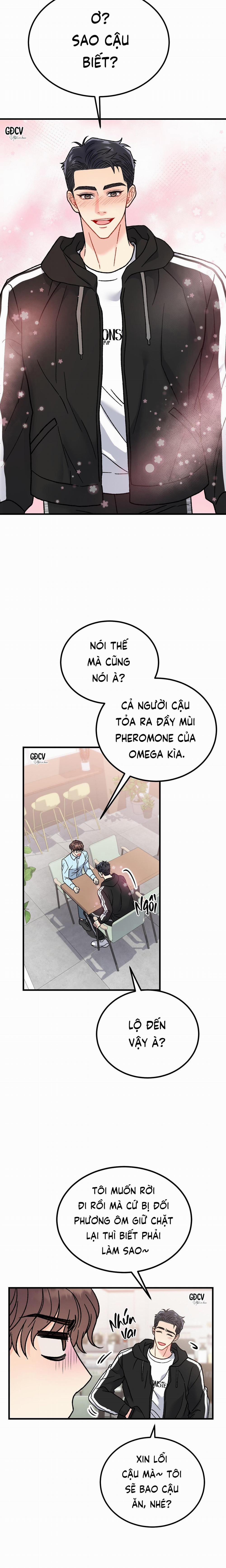 CẬU ĐÂU PHẢI LÀ GU CỦA TÔI? 5 0 trang 23