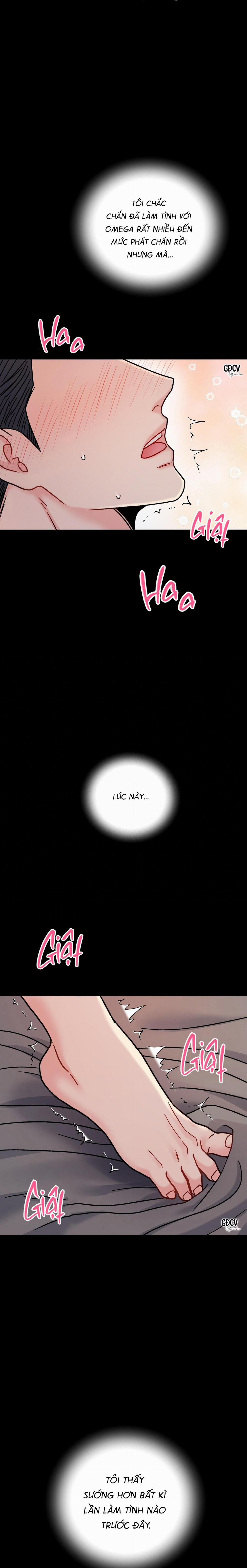 CẬU ĐÂU PHẢI LÀ GU CỦA TÔI? 5 0 trang 28