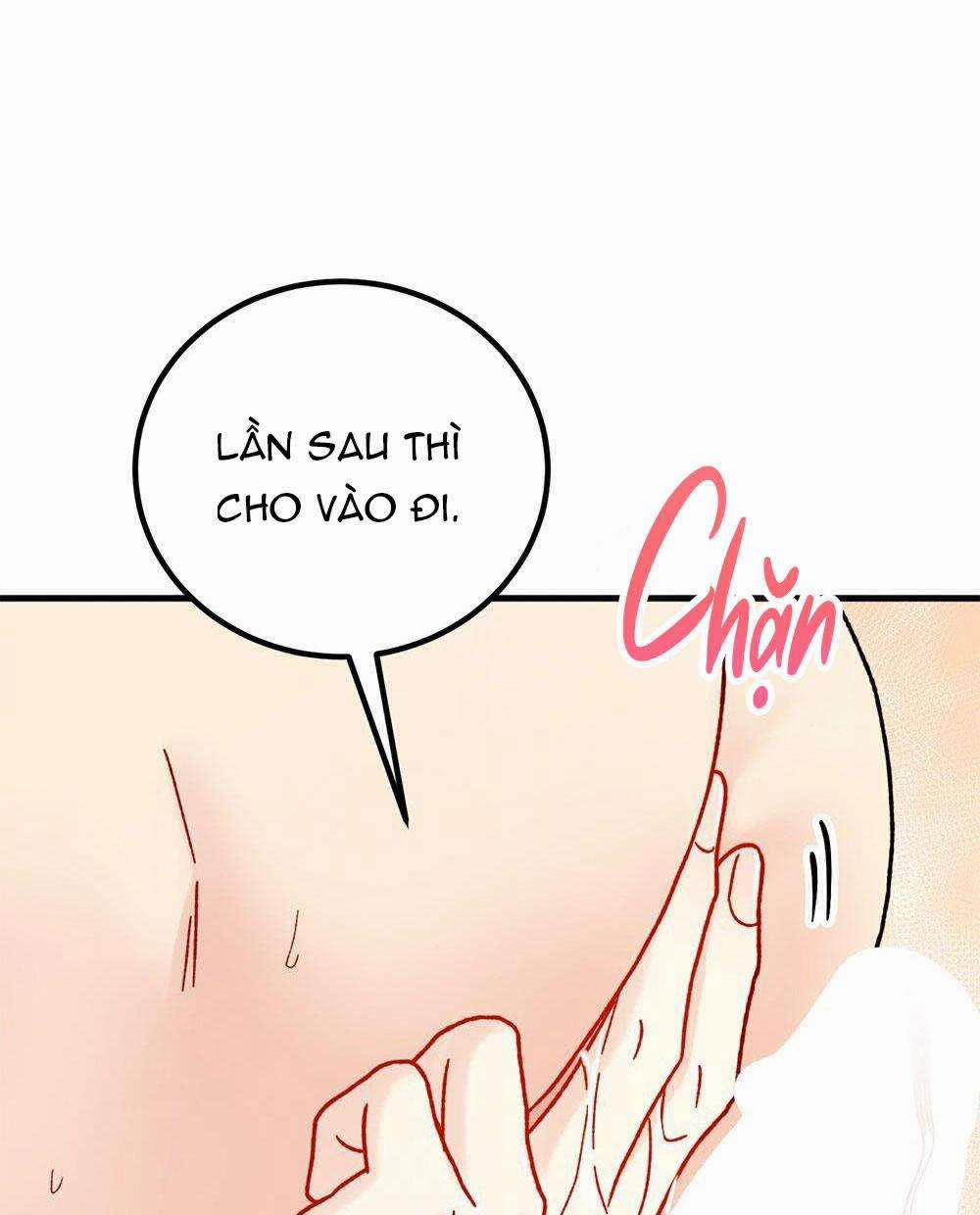 CẬU KHÔNG PHẢI LÀ GU CỦA TÔI Chương 27 Trang 63