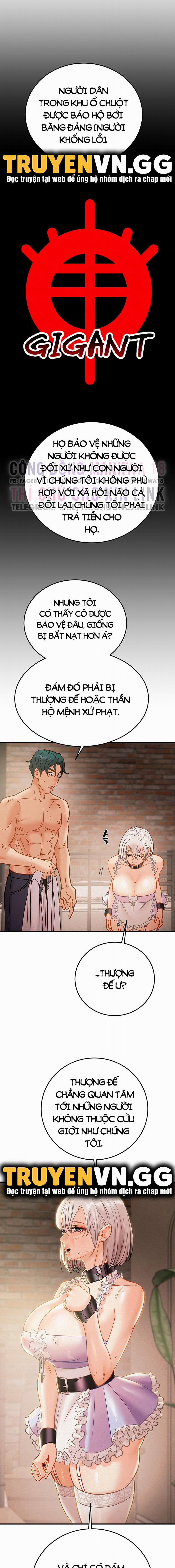 Cây Búa Thần 15 trang 5