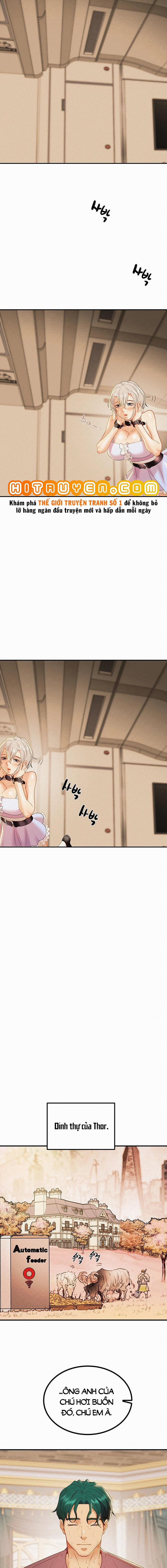 Cây Búa Thần 20 trang 16