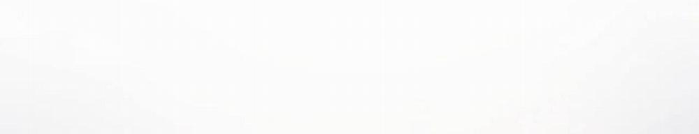 Cây Không Có Rễ 11 trang 47