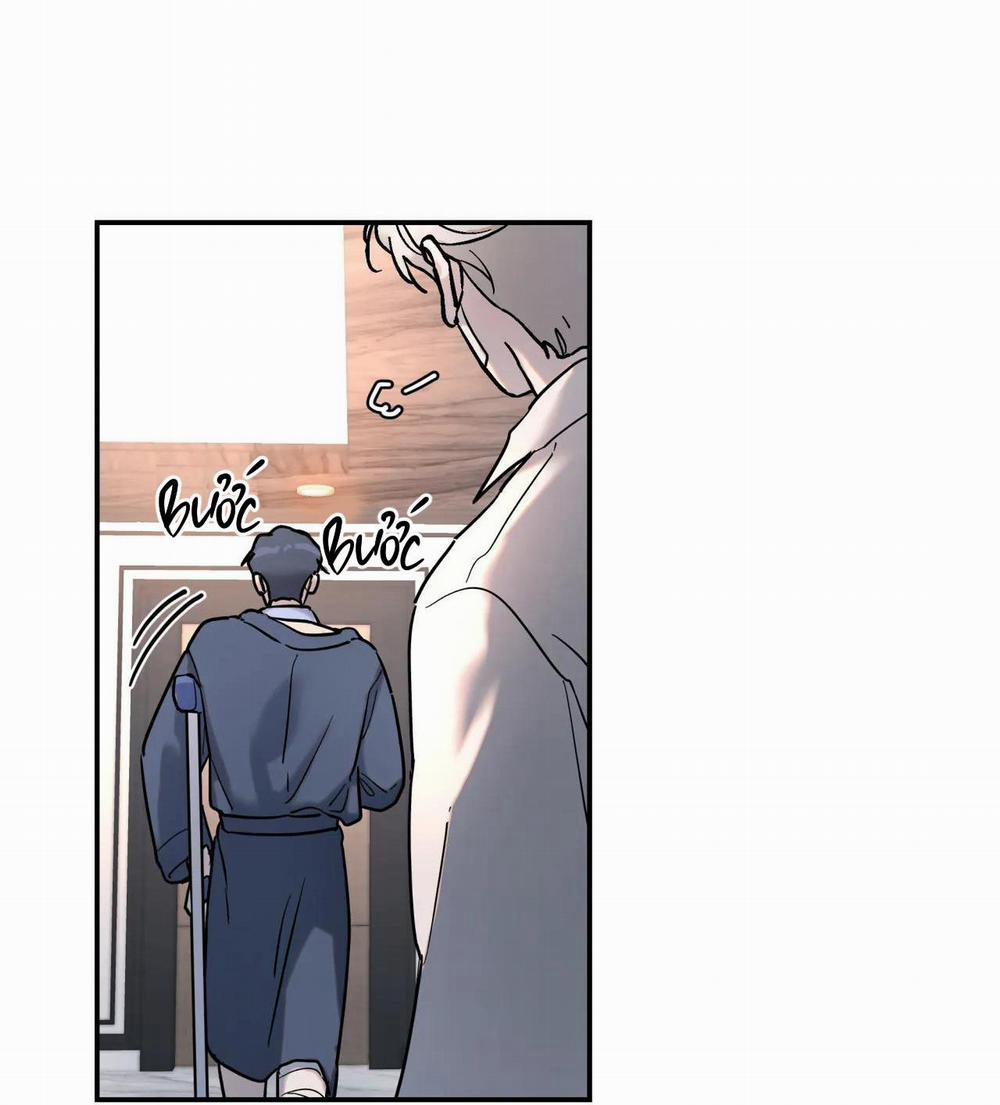 Cây Không Có Rễ 12 trang 37