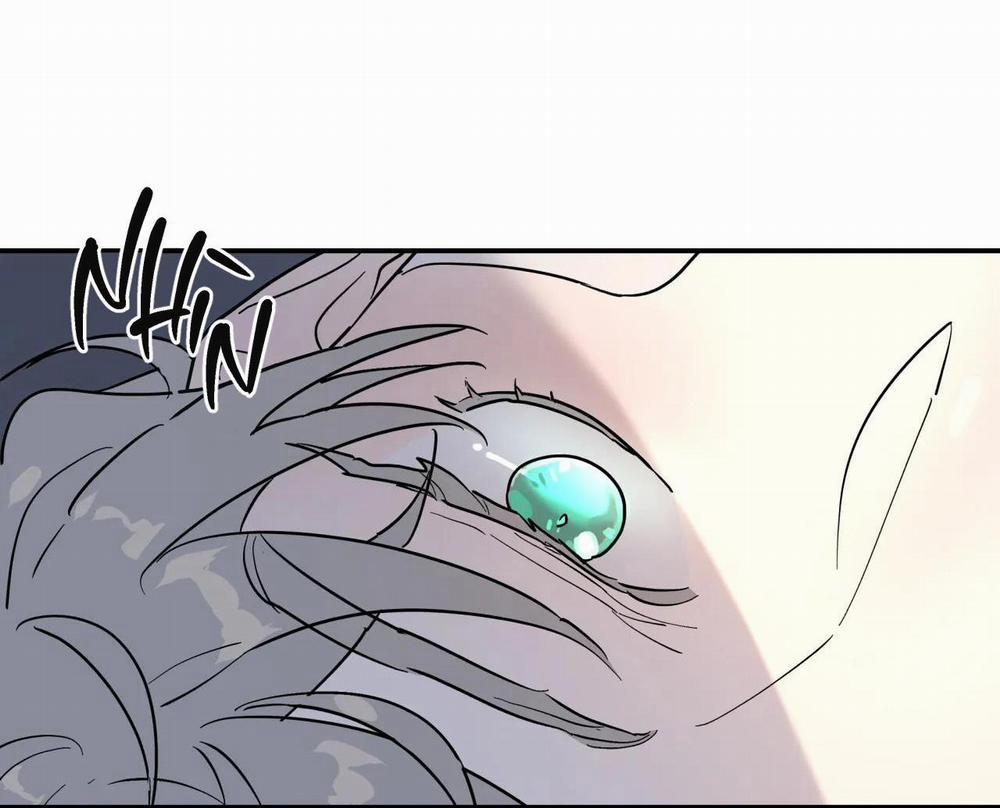 Cây Không Có Rễ 12 trang 92