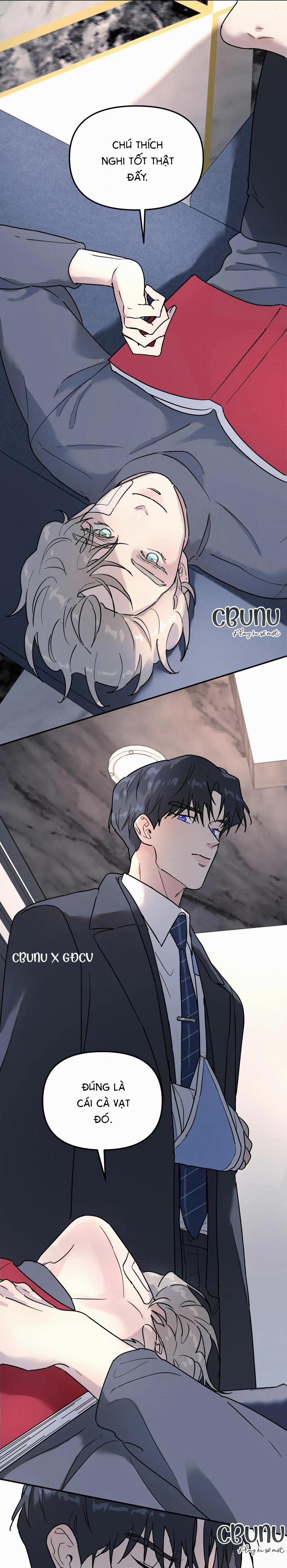 Cây Không Có Rễ 12 trang 93