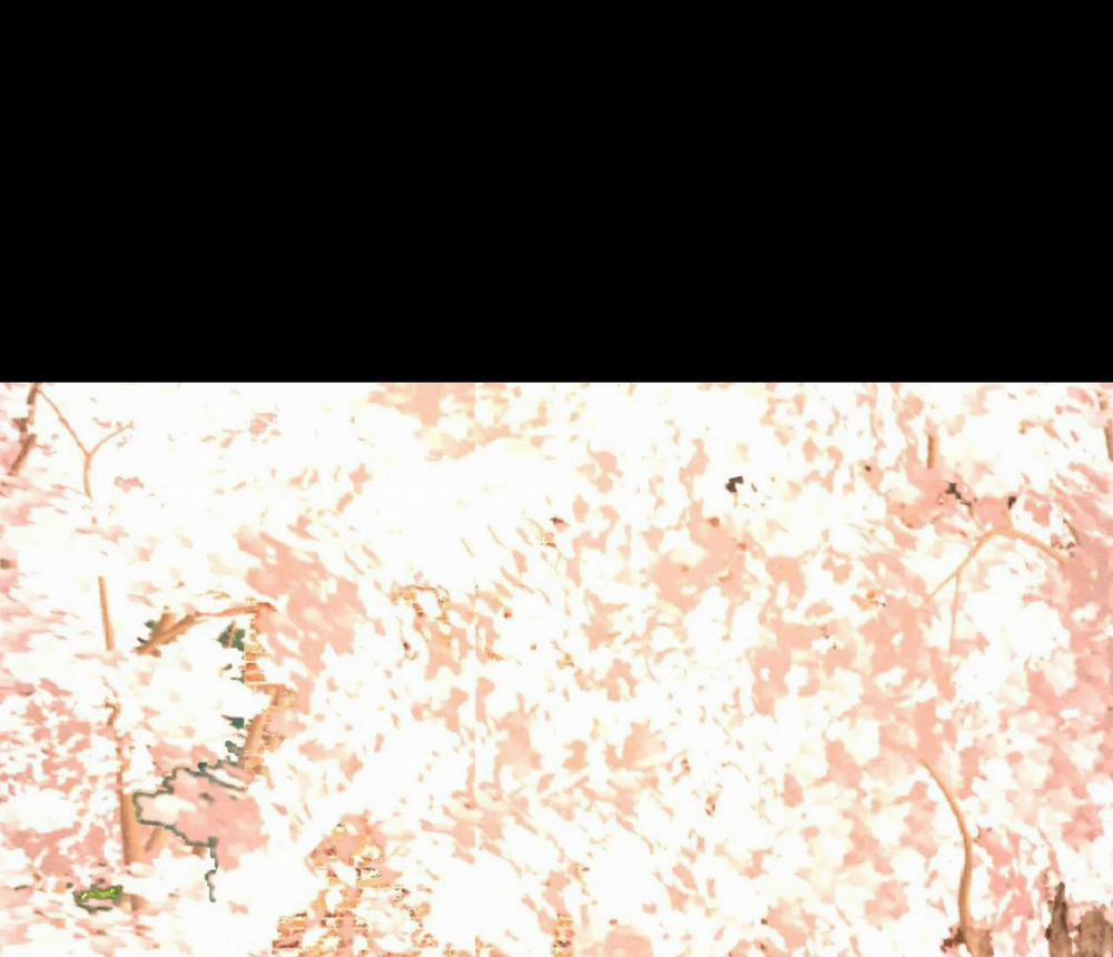 Cây Không Có Rễ 23 trang 2