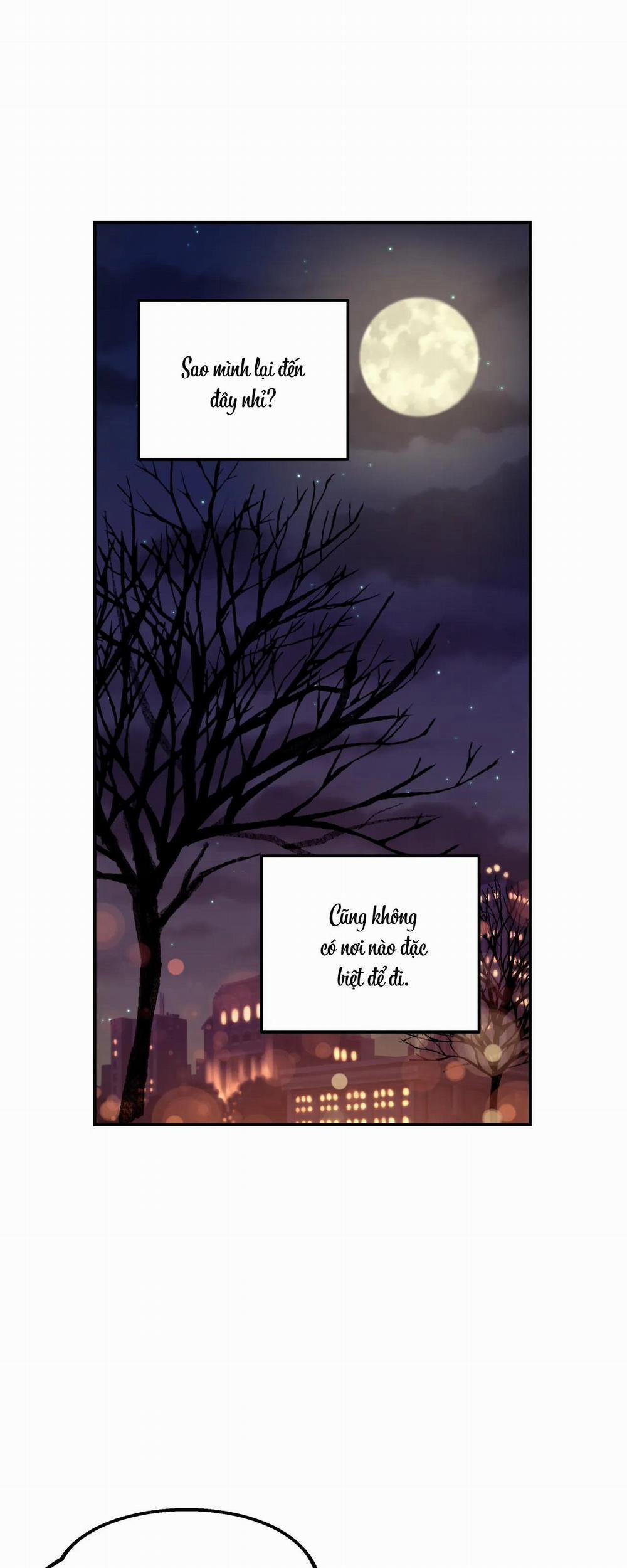 Cây Không Có Rễ 5 trang 21
